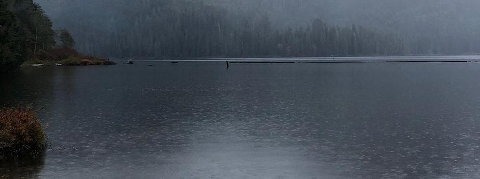 Nootka Wilderness Immersion
