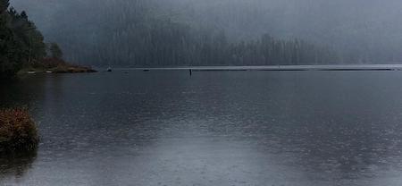 Nootka Wilderness Immersion