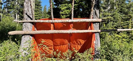 Nootka Wilderness Immersion